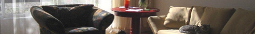 der leere Beratungsraum von Marlies Blersch: Am Fenster steht ein roter, runder, kleiner Tisch mit einer Vase und Kerze. Darunter sitzt eine Katze. Rechts an der Wand steht ein Sofa, auf dem eine zweite Katze liegt. Dar&uuml;ber h&auml;ngt ein &Ouml;lbild. Links vom Tischchen steht einladend ein Sessel und im Vordergrund ist ein weiterer Sessel.